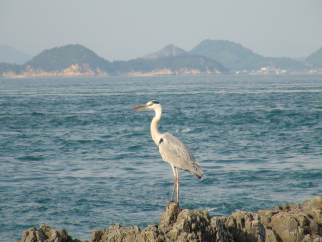 f0231709_21915100.jpg