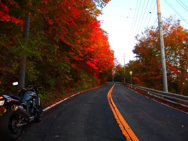 b0301412_2247091.jpg