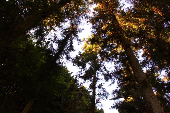 e0201121_0465874.jpg