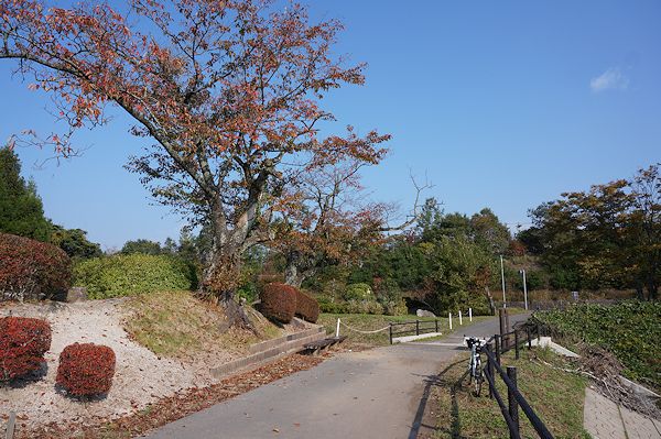 f0007926_1292416.jpg