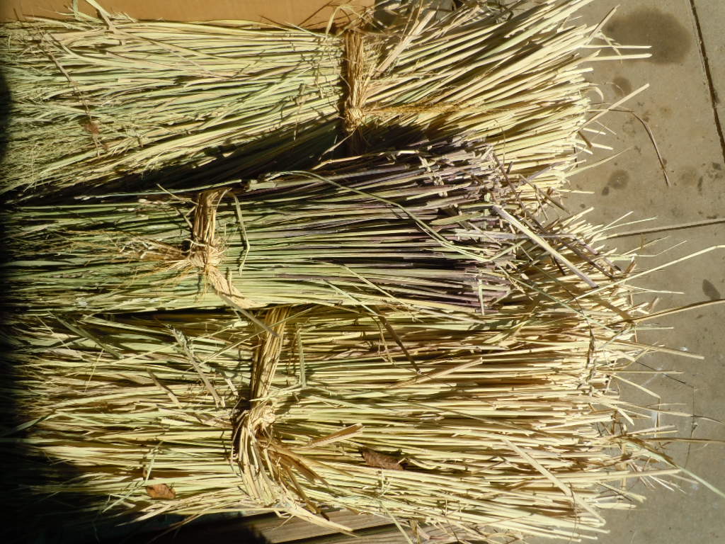 b0157528_22283173.jpg