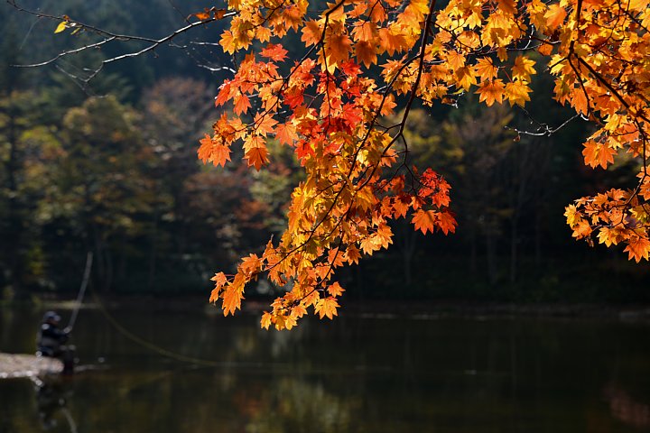 b0134829_19171120.jpg