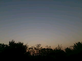 e0029132_5553653.jpg