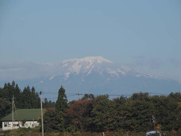 f0118332_0203071.jpg