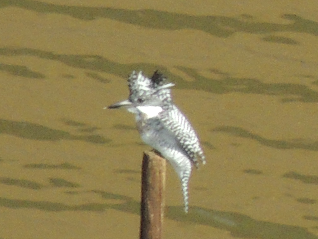 f0118332_0244469.jpg