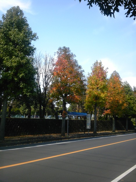 a0163738_14222218.jpg