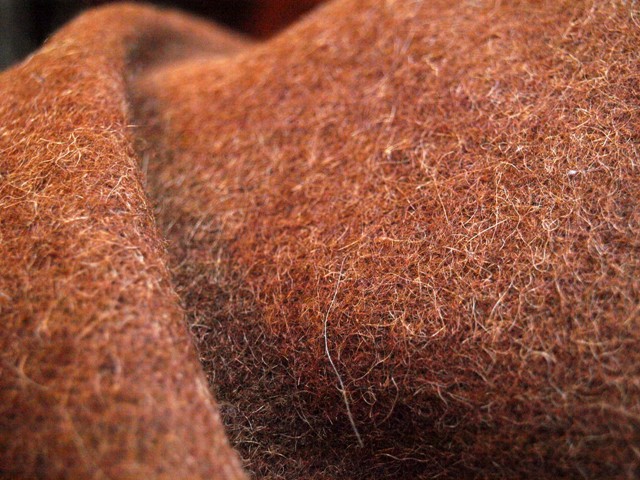 c0177238_17332035.jpg