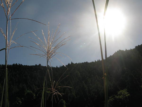 f0182246_12304994.jpg