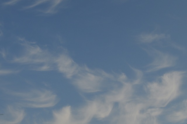 b0296148_18173684.jpg