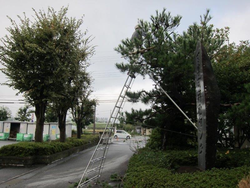 d0240648_121616.jpg