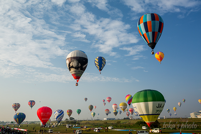 b0059260_149013.jpg