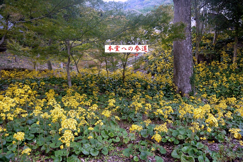 d0244960_703351.jpg