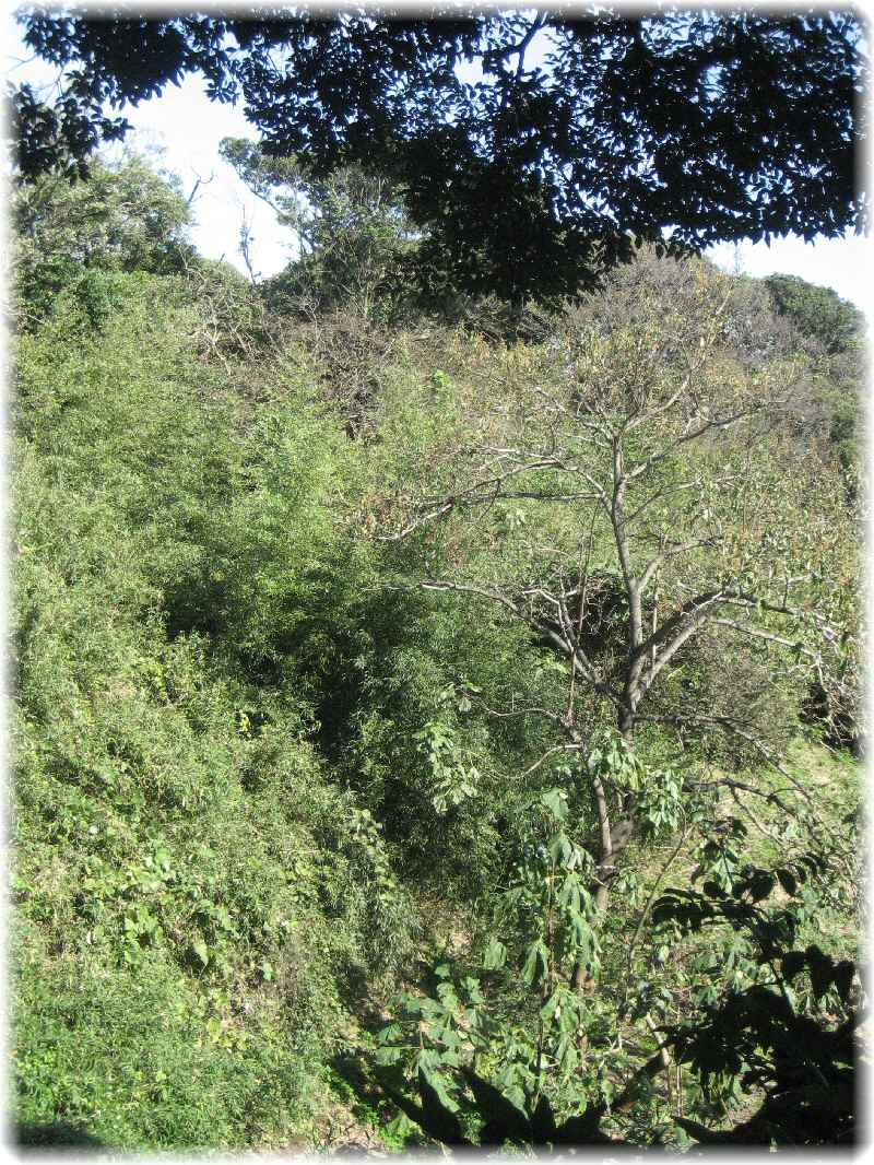 f0309162_17285571.jpg