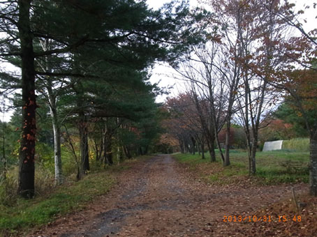 b0075364_102089.jpg