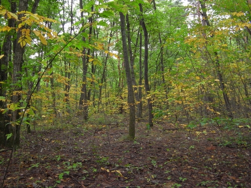 c0166668_5245693.jpg