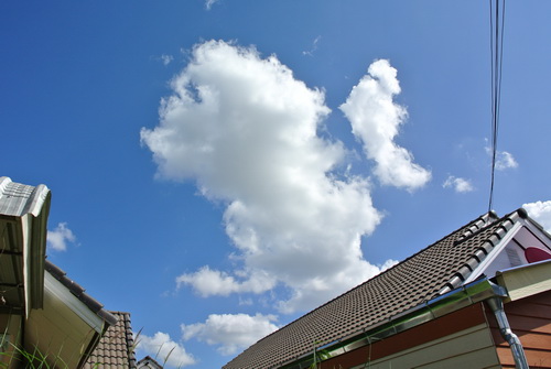a0002177_14242526.jpg