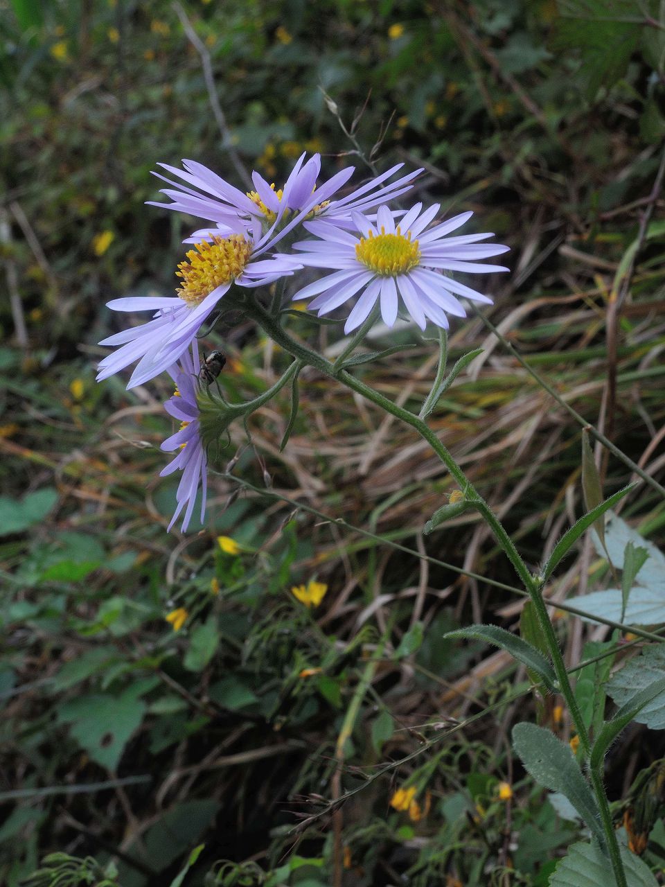d0328977_21292690.jpg