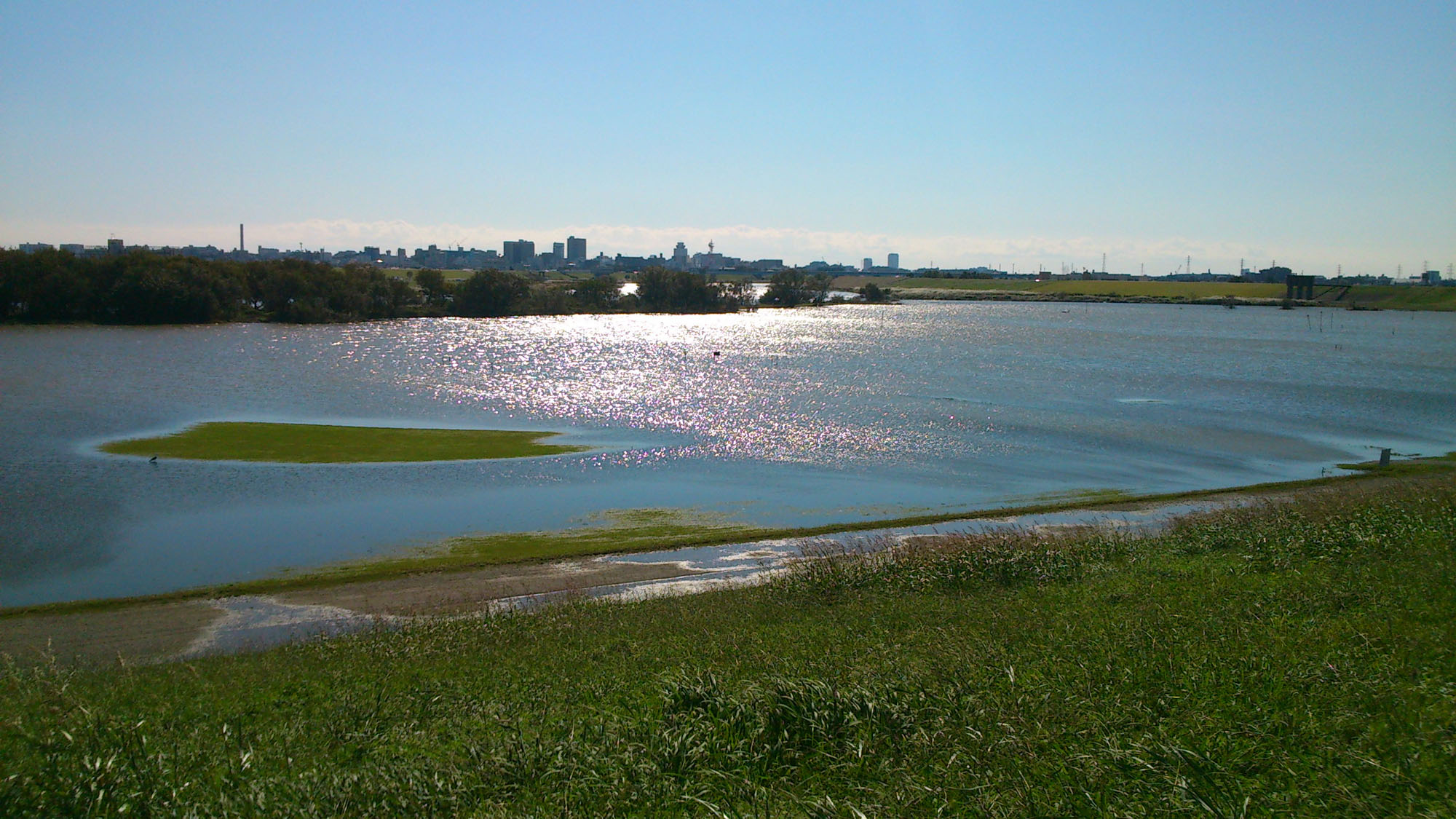 b0144082_1545329.jpg