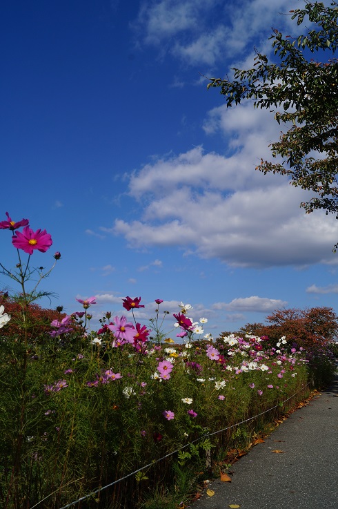 d0129083_1813529.jpg