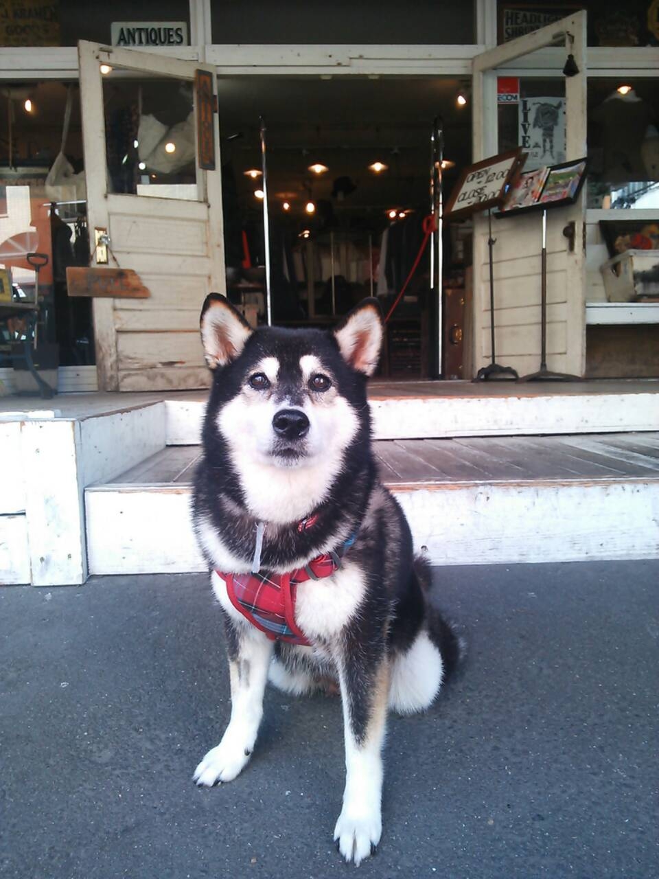 c0226387_1736416.jpg