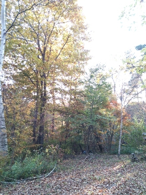 e0222588_16164333.jpg