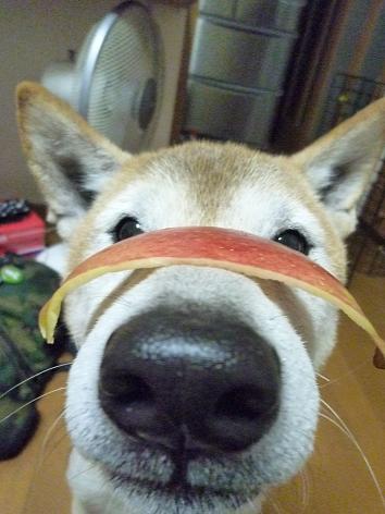 c0123890_21102100.jpg