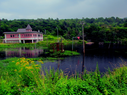 b0074992_9412431.jpg