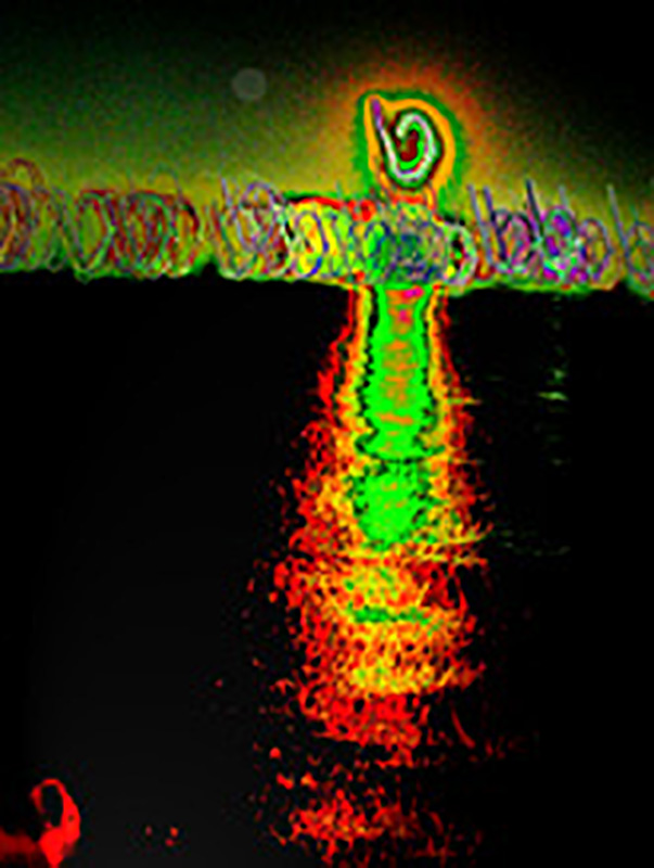 f0018492_21441778.jpg