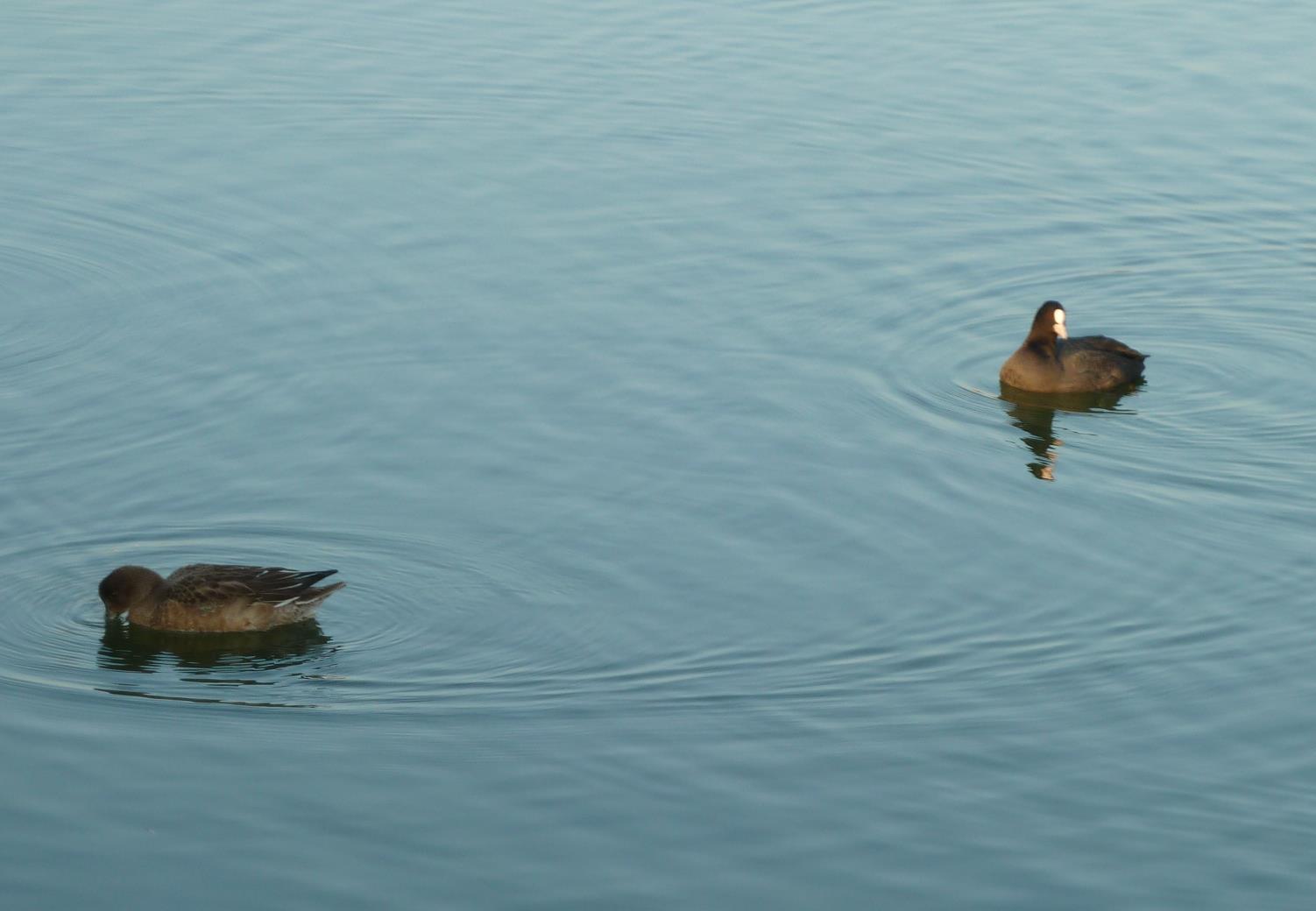 f0166694_20321773.jpg