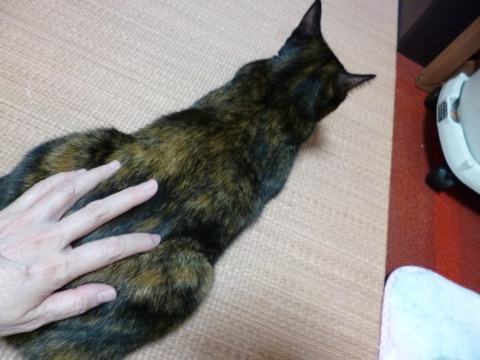 f0305995_132292.jpg