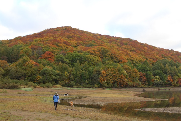 f0034602_1621521.jpg