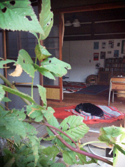 d0077603_97629.jpg