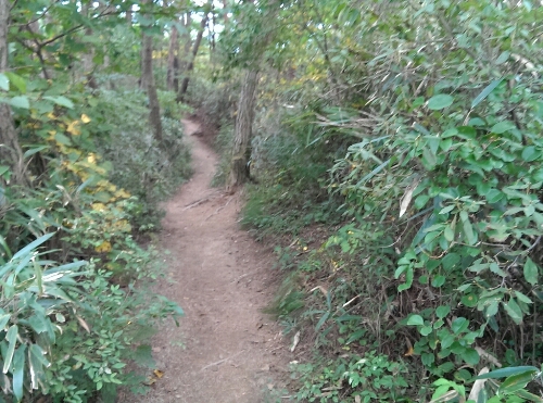 a0140305_20415769.jpg