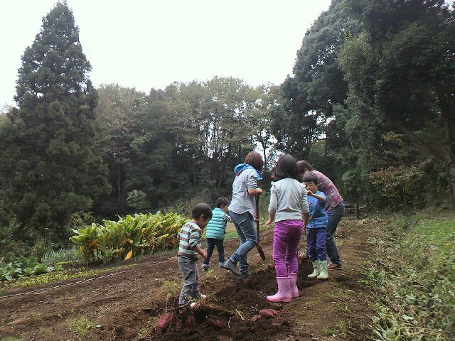 f0127408_23513366.jpg
