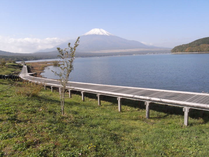 d0160611_5544050.jpg