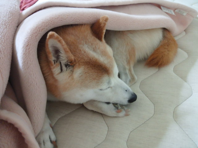 c0060620_2337669.jpg