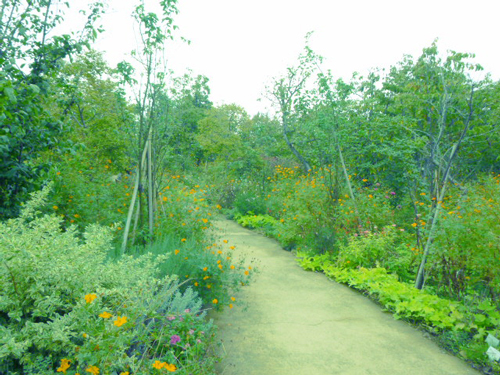 e0312121_2229341.jpg