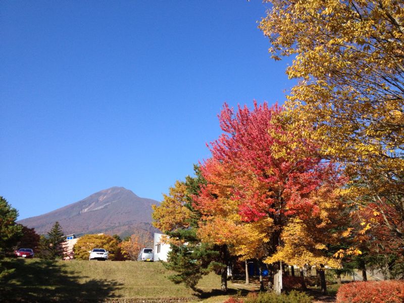 f0128821_2247526.jpg