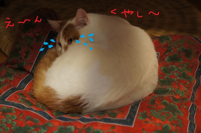 a0304423_23202617.jpg