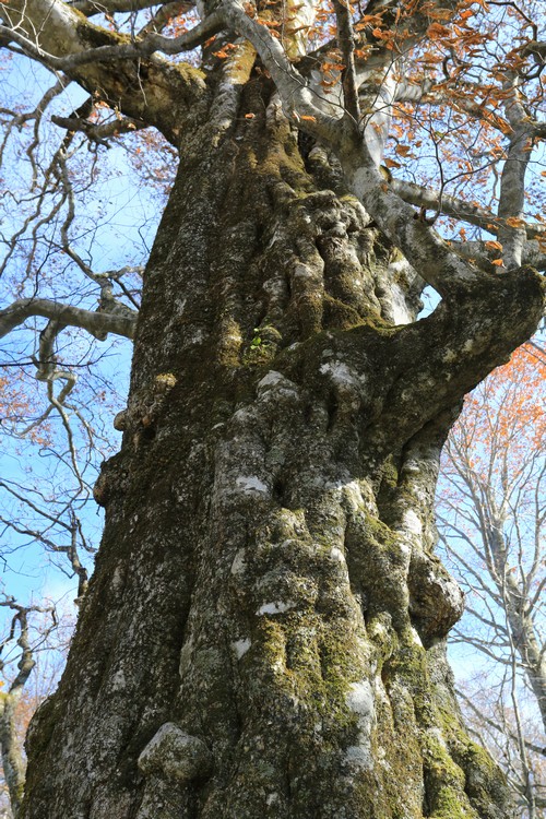 c0104227_1112133.jpg