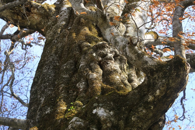 c0104227_1114729.jpg
