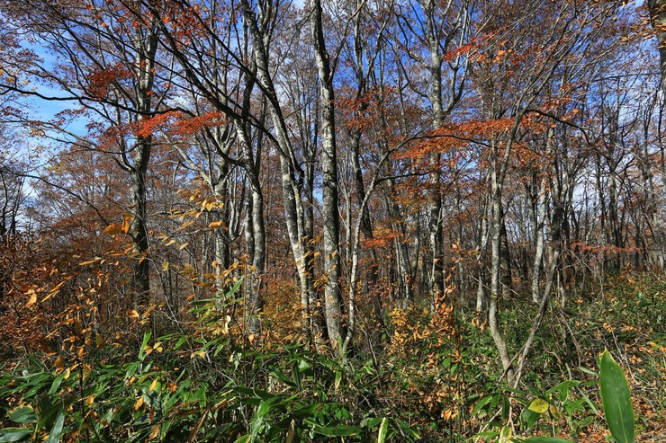 c0104227_11251616.jpg
