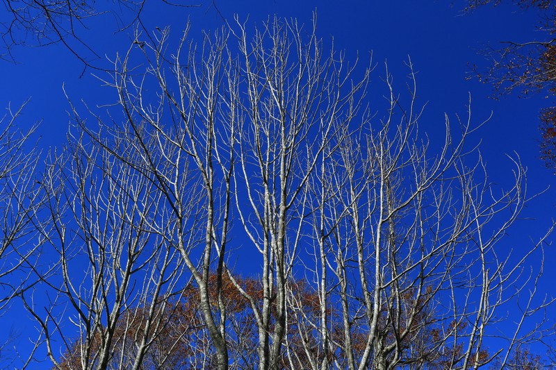 c0104227_11482752.jpg