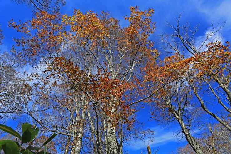 c0104227_1175839.jpg