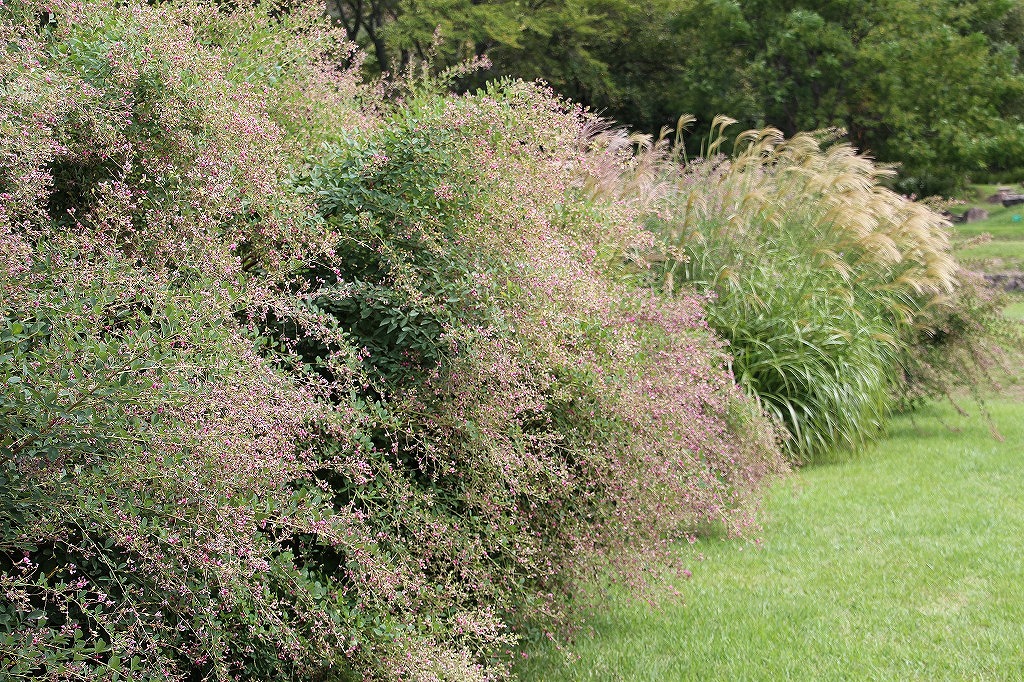 b0162728_8251295.jpg