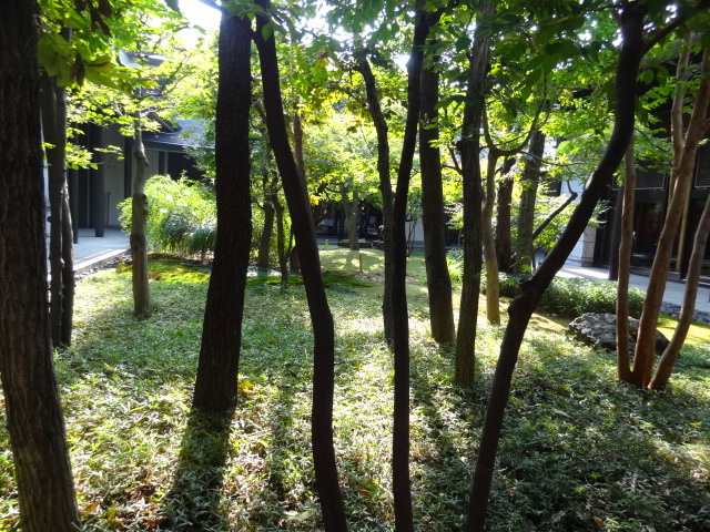 e0016828_1055395.jpg
