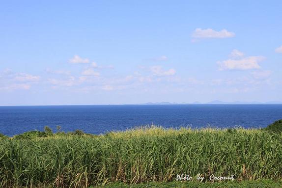 f0308134_2025587.jpg