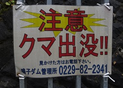 d0164636_14263943.jpg