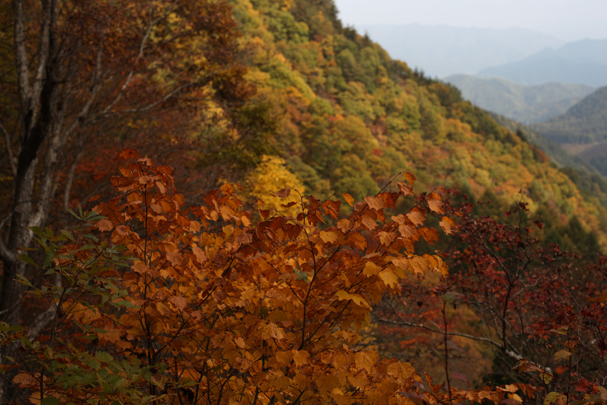 f0307538_2212741.jpg