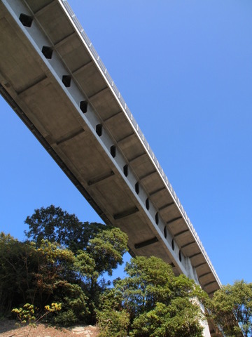 b0199742_17293411.jpg